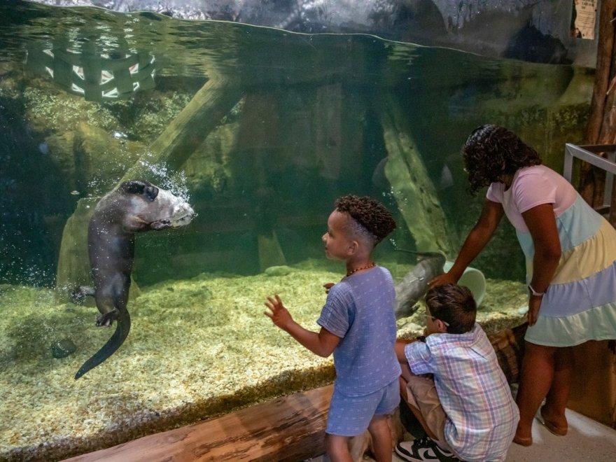 Delmarva Discovery Museum